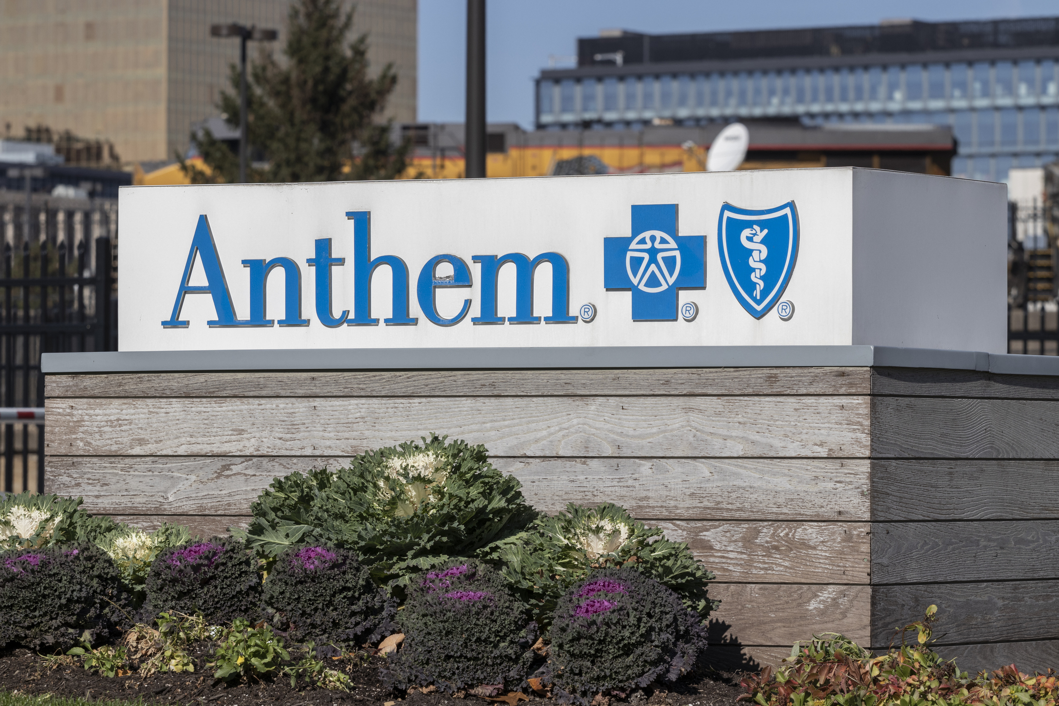 Anthem blue cross sign