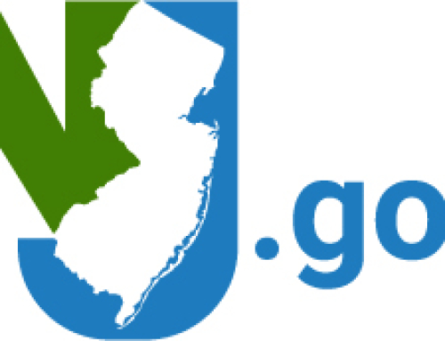NJ Goverment Website Fakes